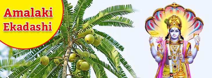 Aamalaki Ekadashi Banner