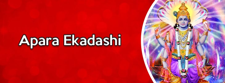 Apara Ekadashi Vrat Banner