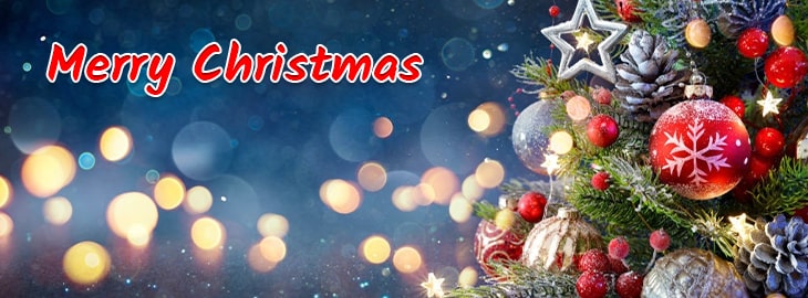 Christmas Banner