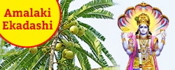Aamalaki Ekadashi