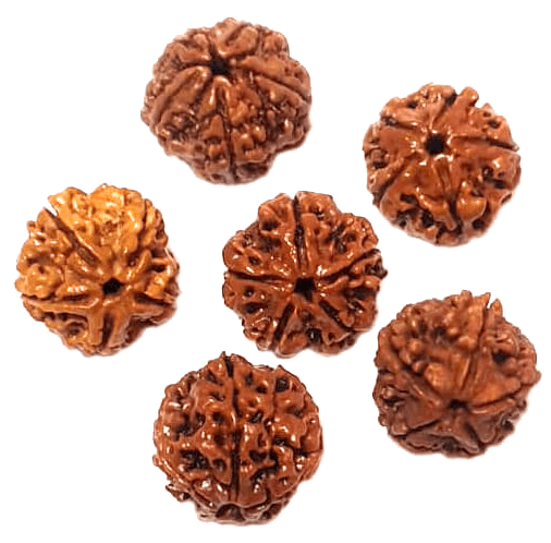 Rudraksha Suggestion